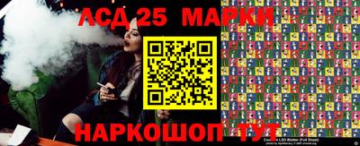 индика Гатчина