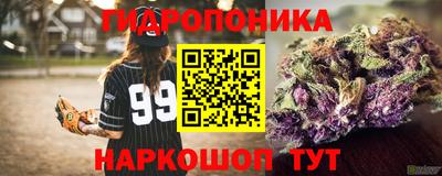 мет Гай