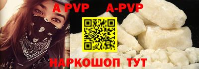 индика Гатчина