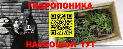 прущий лед Гусь-Хрустальный