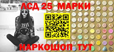индика Гатчина