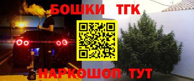 индика Гатчина