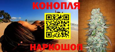 индика Гатчина