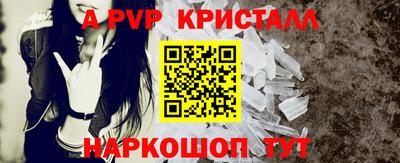 индика Гатчина