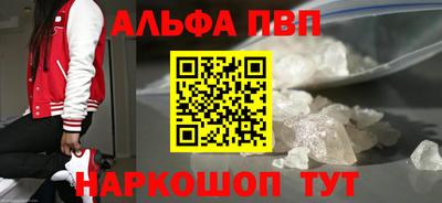 индика Гатчина