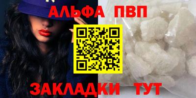 индика Гатчина