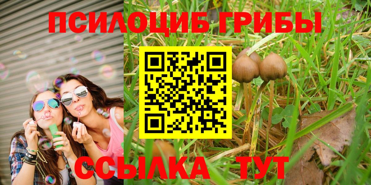 Псилоцибиновые грибы GOLDEN TEACHER Заринск