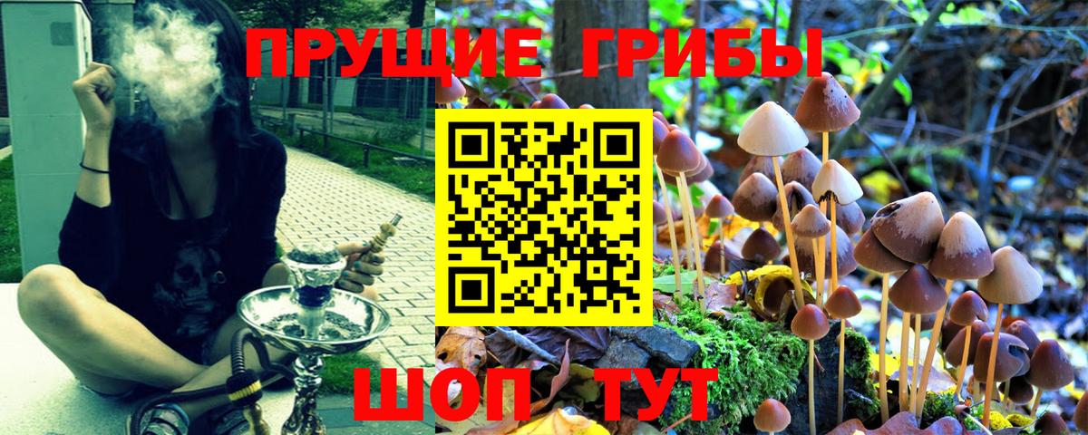 Псилоцибиновые грибы мицелий  Галлюциногенные грибы мицелий  Вход с VPN  Заринск 